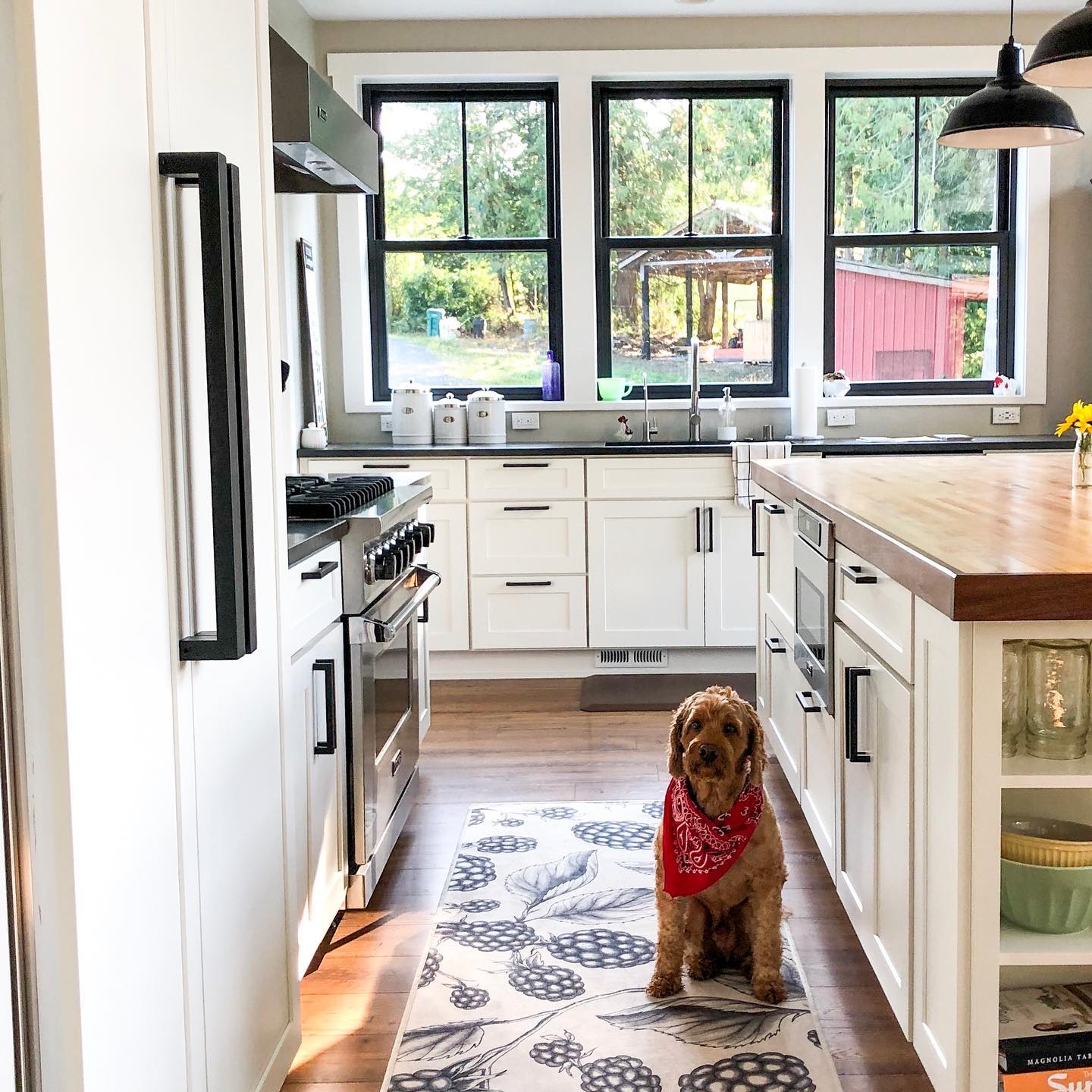 Modern kitchen interior with dog on rug.