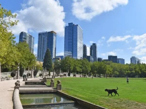 Exterior Remodeling Contractor in Bellevue, WA