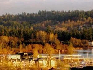 Exterior Remodeling Contractor in Kenmore, WA